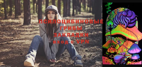 mix Богородицк