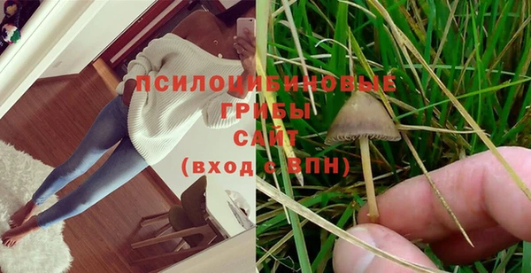 mix Богородицк