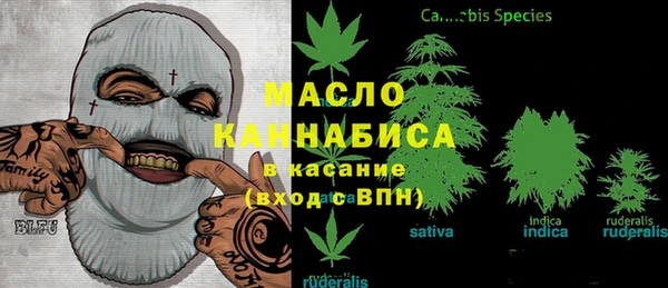 mix Богородицк