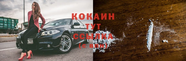 mix Богородицк