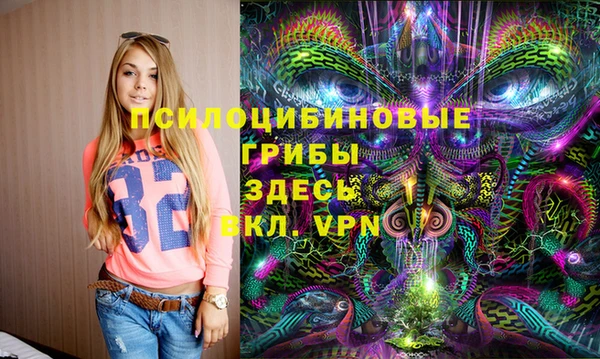 мескалин Богданович